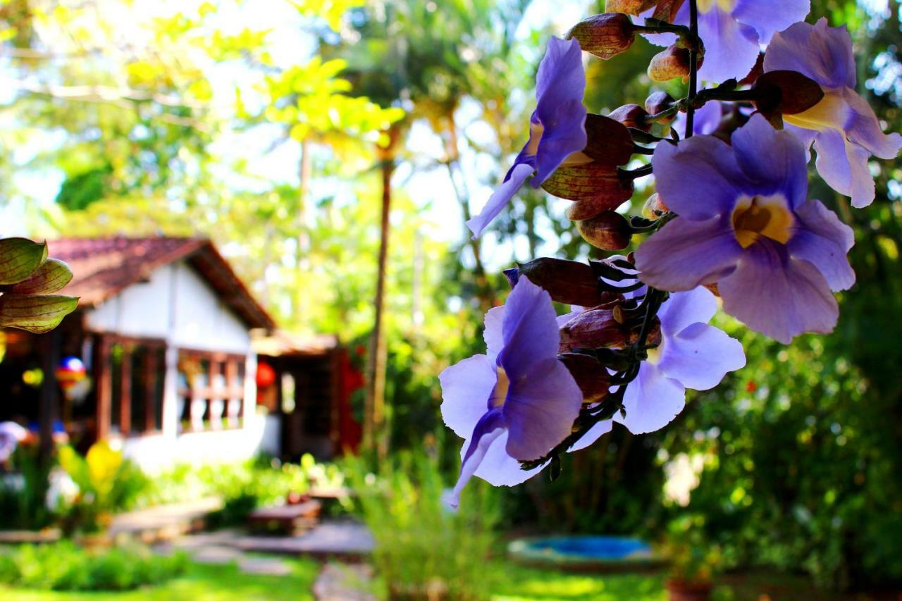 Recanto Das Andorinhas Studios Parati Exterior foto